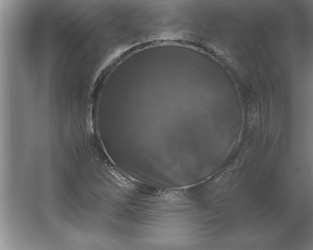 X0000062651262200512281638