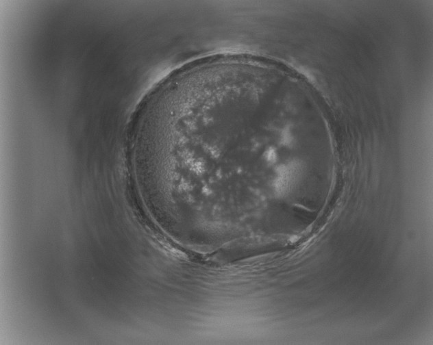 X0000062651263200512281638