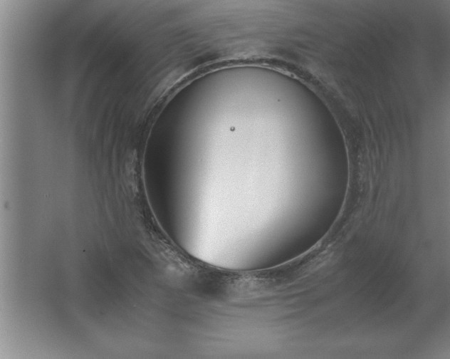 X0000062651265200512281638