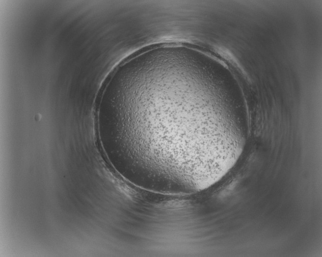 X0000062651268200512281638