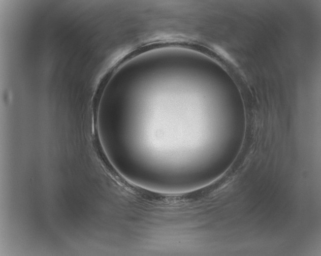 X0000062651269200512281638