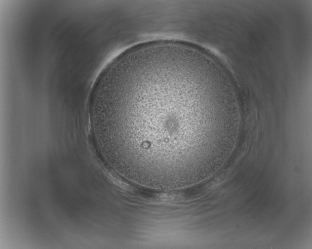 X0000062651271200512281638