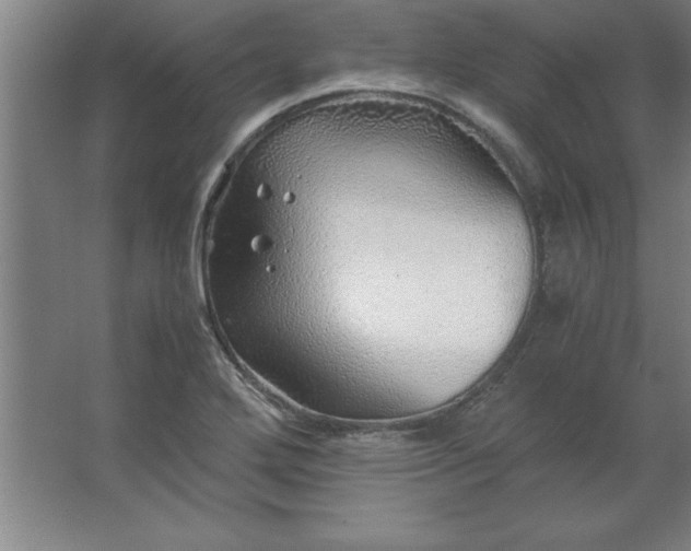 X0000062651272200512281638