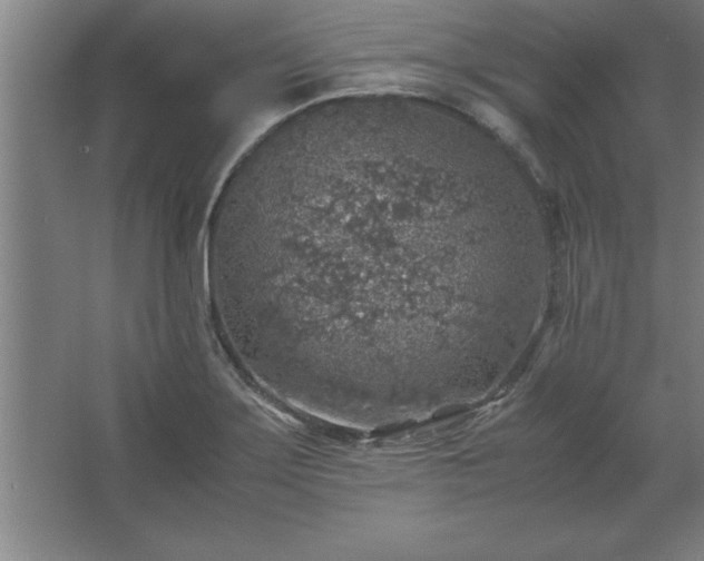 X0000062651275200512281638