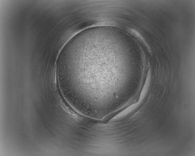 X0000062651276200512281638