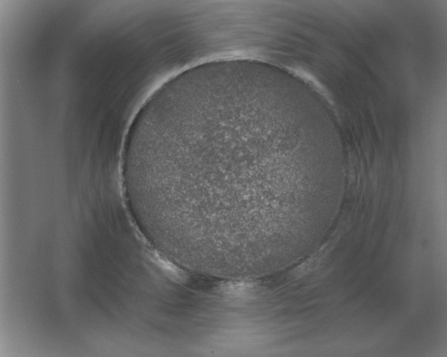 X0000062651278200512281638