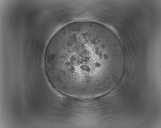 X0000062651279200512281638