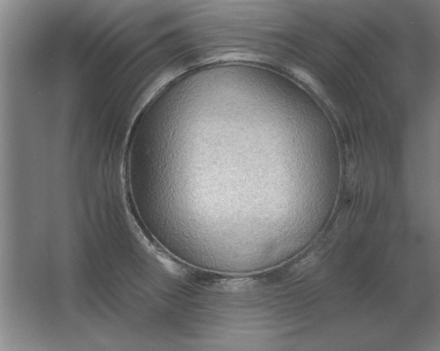 X0000062651282200512281637