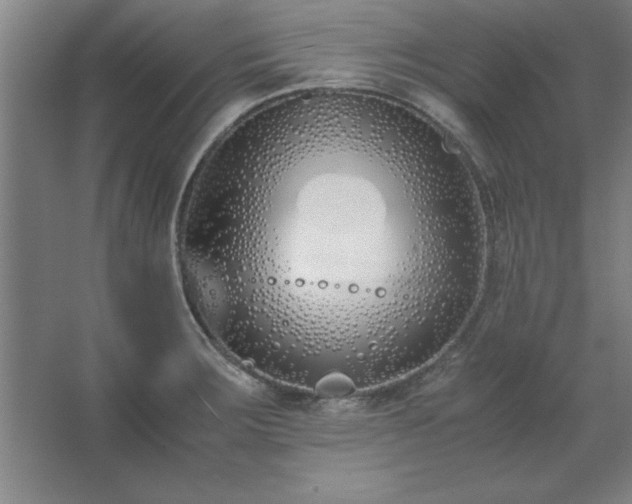 X0000062651283200512281637