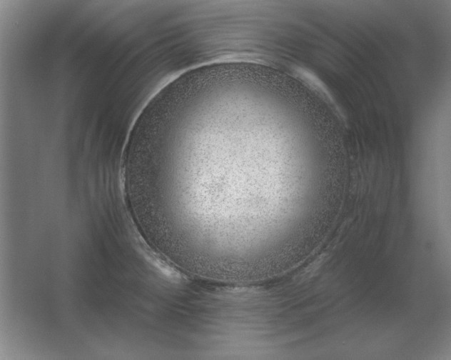 X0000062651284200512281637