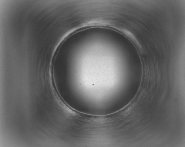 X0000062651288200512281637