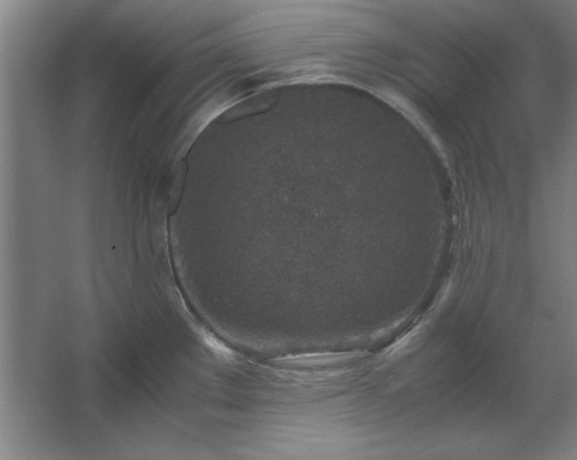 X0000062651289200512281637