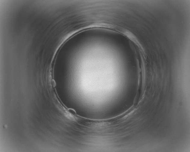 X0000062651292200512281637