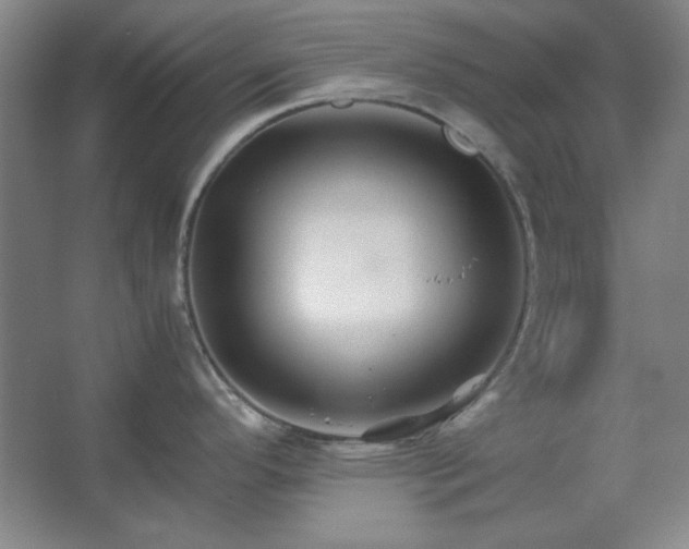 X0000062651296200512281637