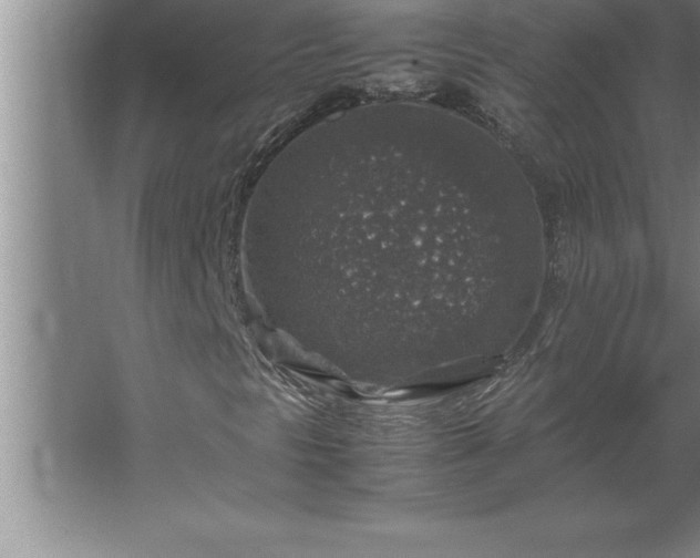 X0000062651297200512281636