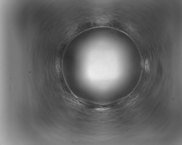 X0000062651299200512281636