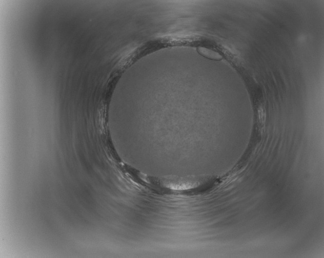 X0000062651300200512281636