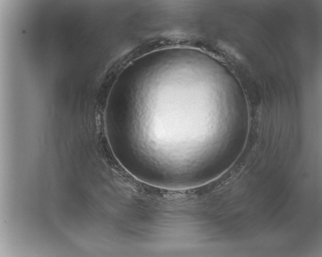 X0000062651302200512281637