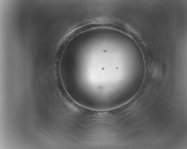 X0000062651304200512281637