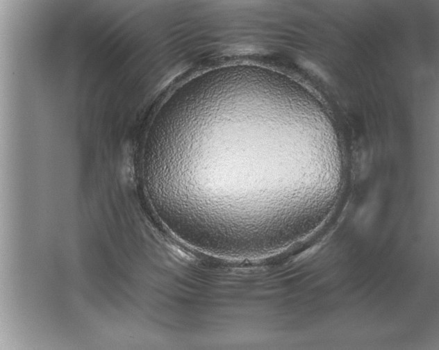 X0000062651305200512281637