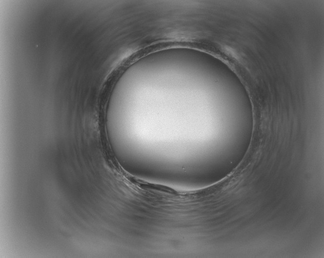 X0000062651307200512281637