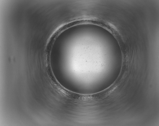 X0000062651310200512281637