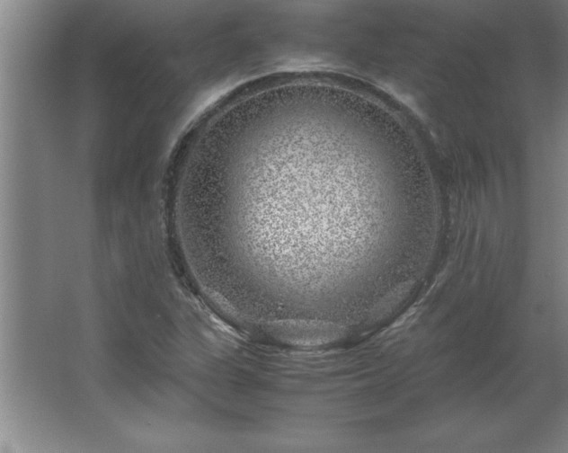 X0000062651311200512281637