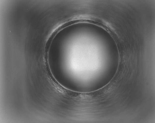 X0000062651312200512281637