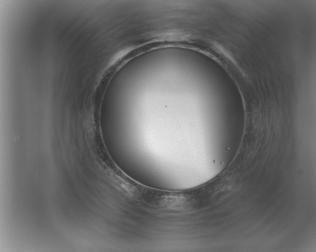 X0000062651315200512281637