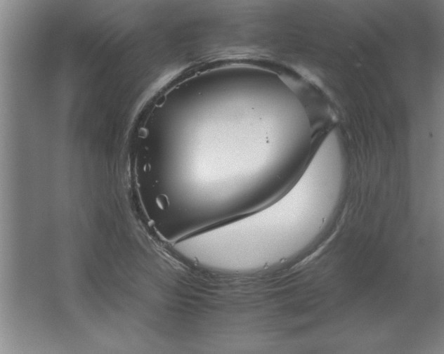 X0000062651317200512281637