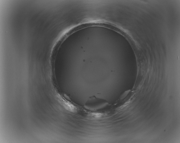 X0000062651319200512281637