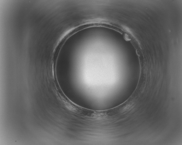 X0000062651320200512281637