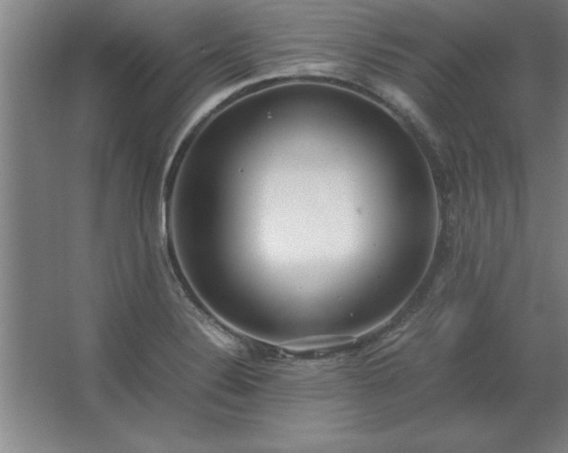 X0000062651324200512281637