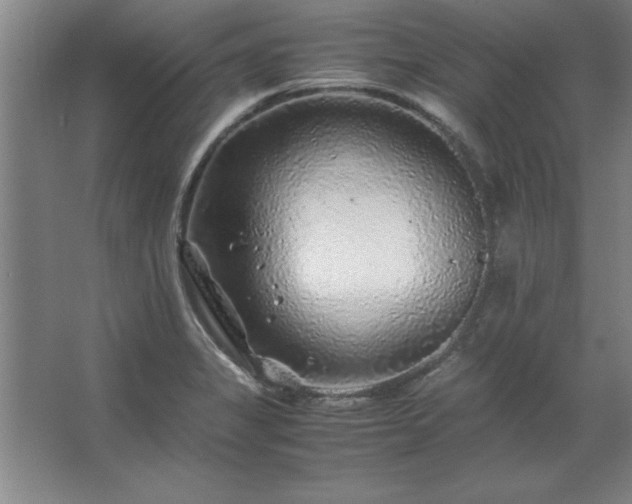 X0000062651325200512281637