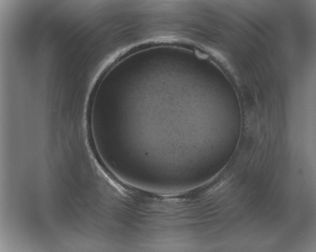 X0000062651327200512281637