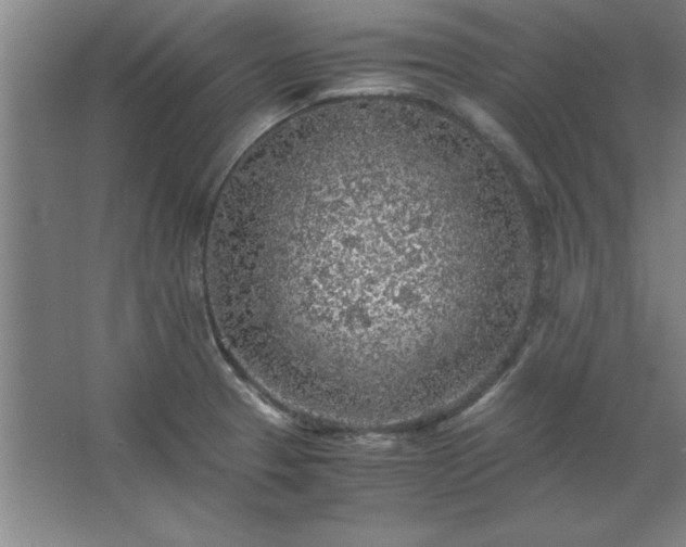 X0000062651329200512281637