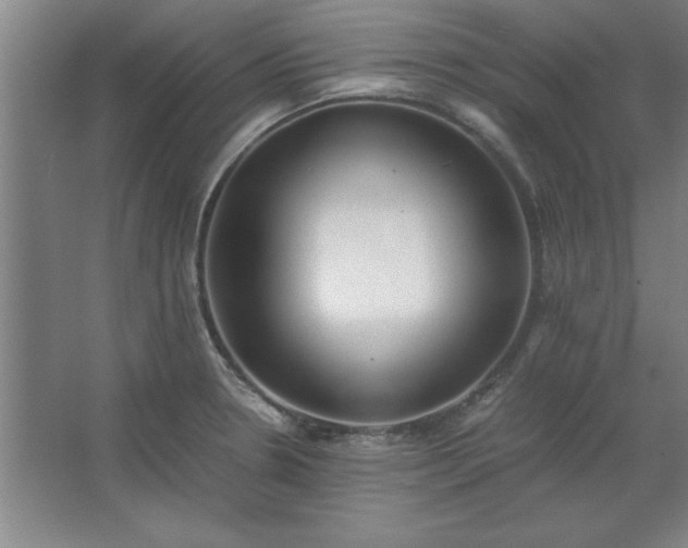 X0000062651330200512281637