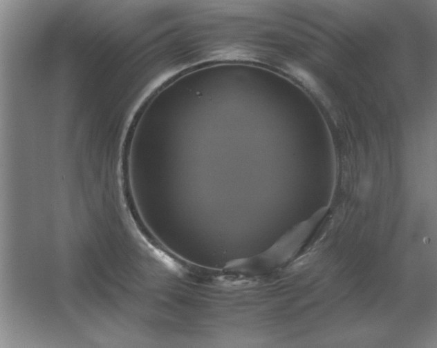 X0000062651331200512281637