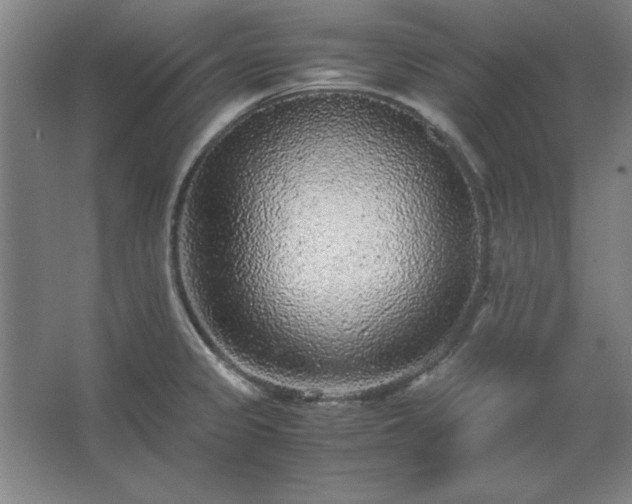 X0000062651333200512281637