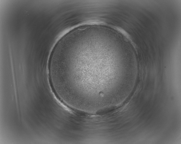 X0000062651335200512281637