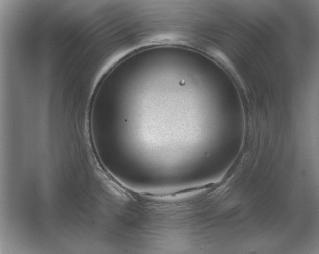 X0000062651336200512281637