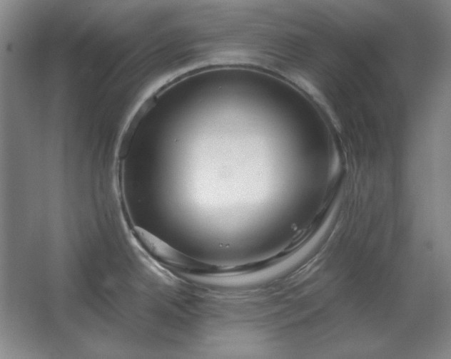 X0000062651342200512281637