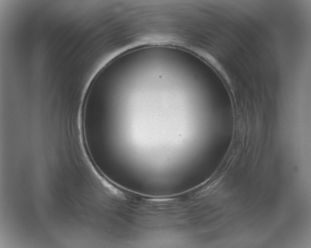 X0000062651343200512281637