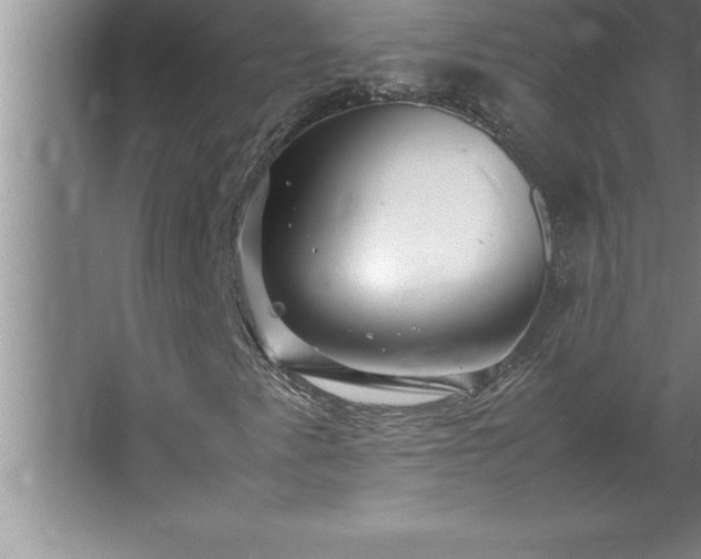 X0000062651345200512281636