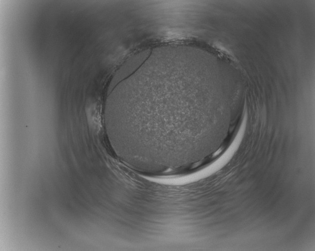 X0000062651348200512281636