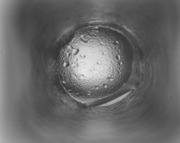 X0000062651351200512281636