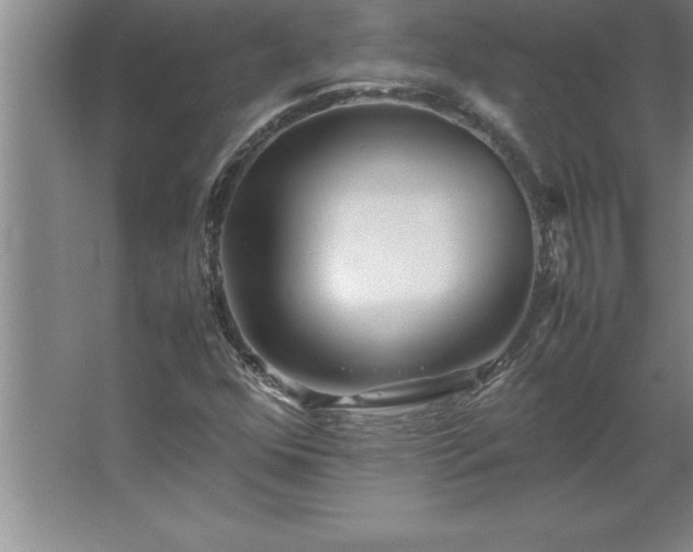 X0000062651352200512281636