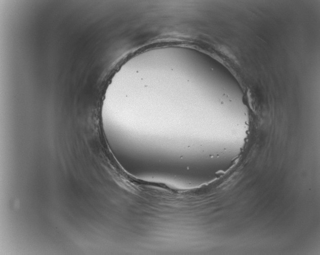 X0000062651355200512281636