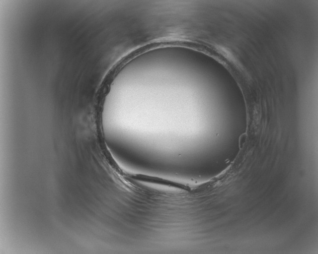 X0000062651356200512281636