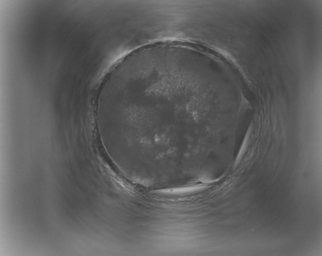 X0000062651359200512281636